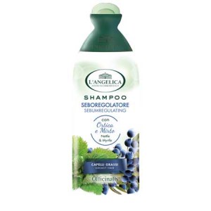 Шампунь L'Angelica Shampoo Seboregolato для жирных волос 250 мл